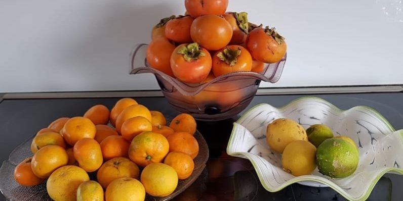 autumn fruits