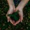 Clean and Conscious Awards 2024. Solimara Truly Natural